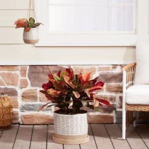 Rebecca 6/12inch Nested Planters, Multiple Colors, 2-Pack
