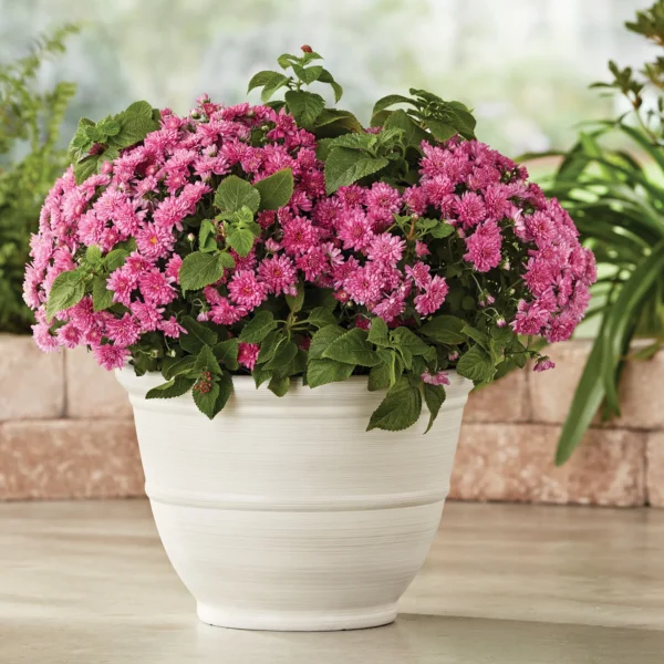 Ferenza Recycled Resin Planter, White, 14in x 14in x 10in - Image 2